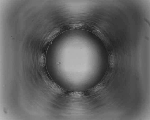 X0000100970378200807081225