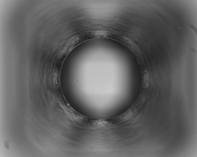 X0000100970379200807081225