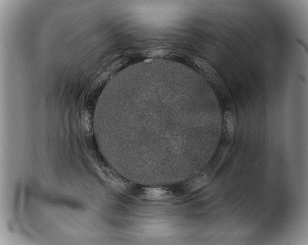 X0000100970380200807081225