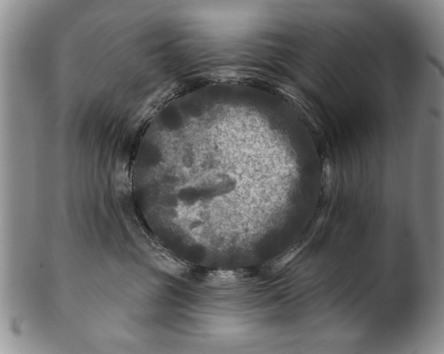 X0000100970381200807081225