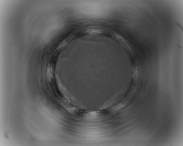 X0000100970382200807081225