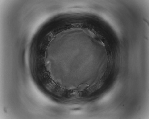 X0000100970383200807081225
