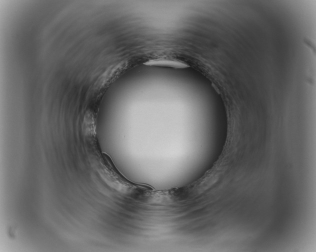X0000100970384200807081225