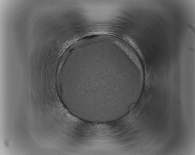 X0000100970385200807081225