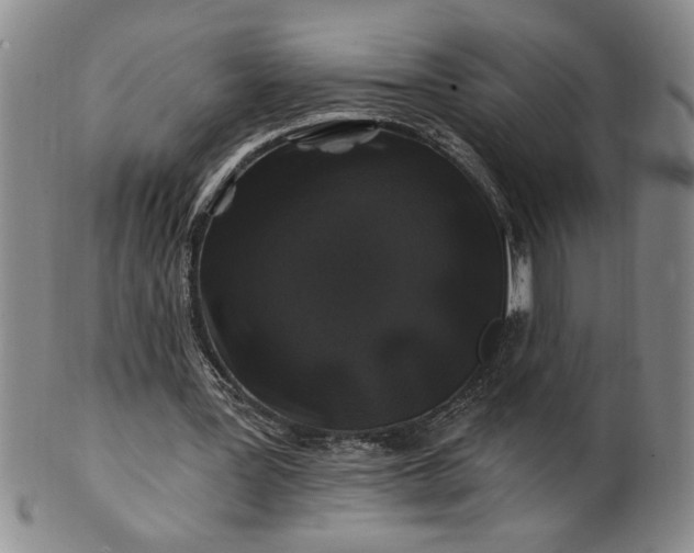 X0000100970387200807081225