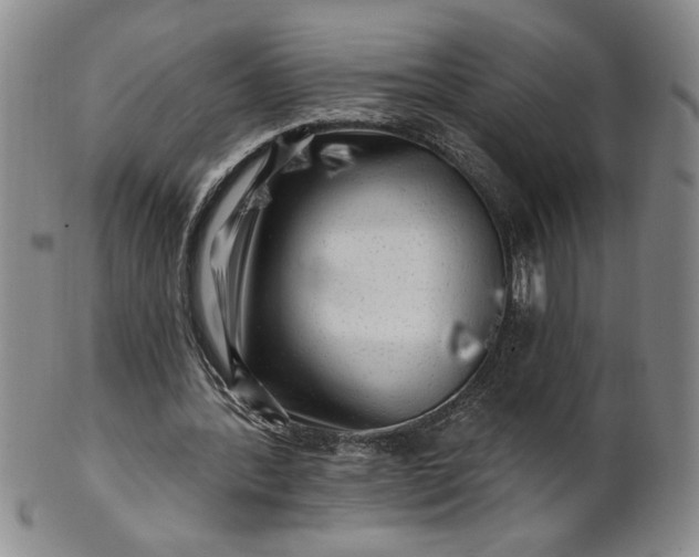 X0000100970388200807081225