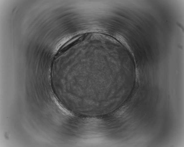X0000100970389200807081225