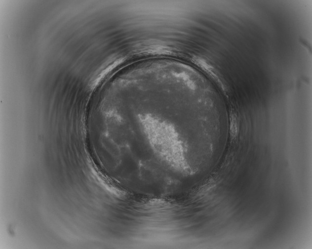 X0000100970390200807081225