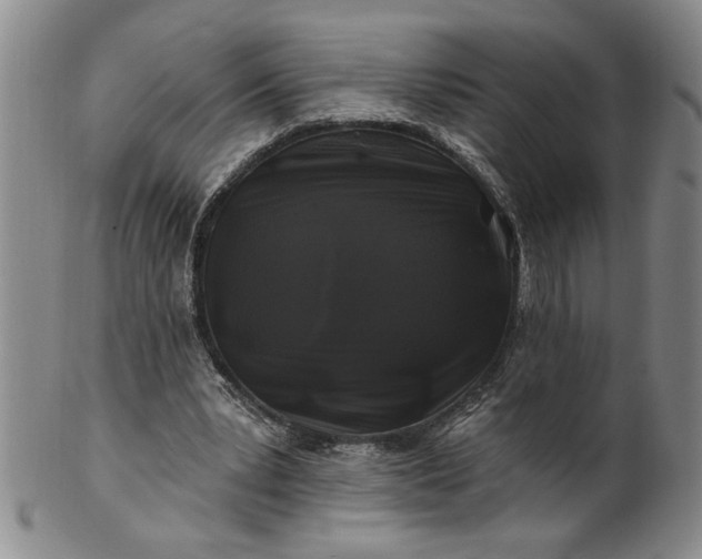 X0000100970391200807081225