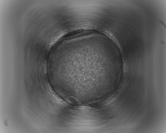 X0000100970393200807081224