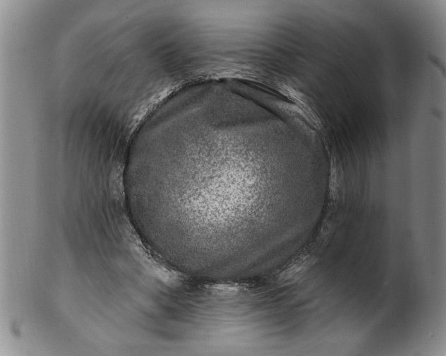 X0000100970394200807081224