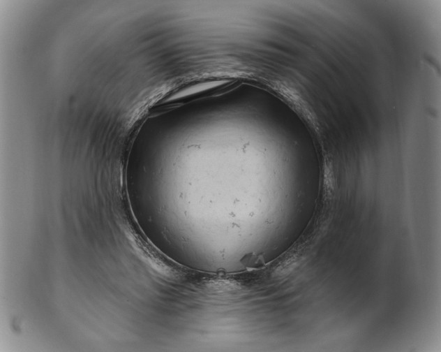X0000100970397200807081224