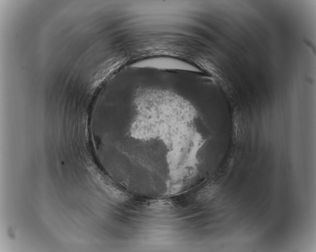 X0000100970398200807081224