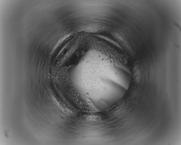 X0000100970400200807081224