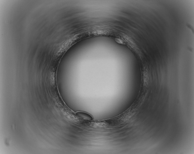 X0000100970401200807081224