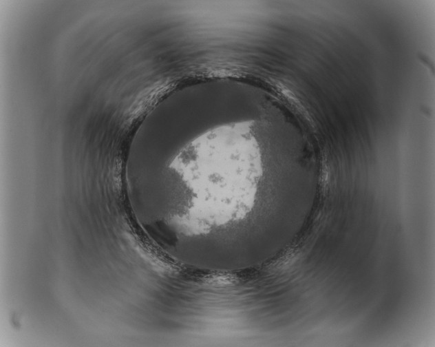 X0000100970402200807081224