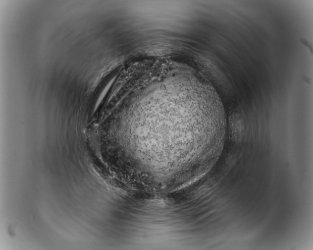 X0000100970404200807081224