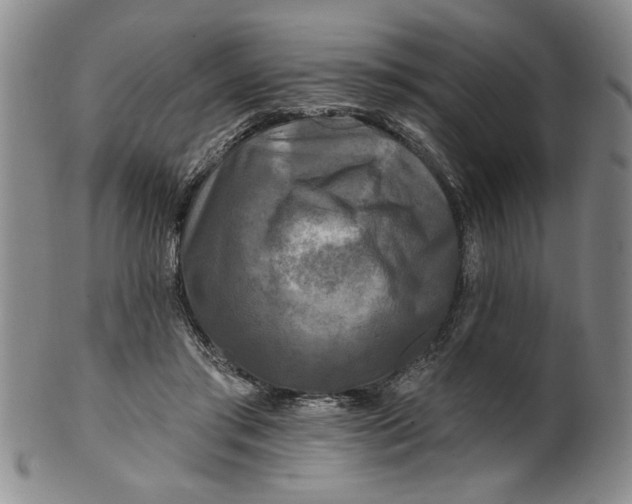 X0000100970405200807081224