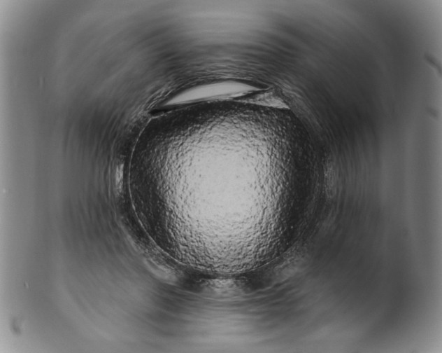 X0000100970406200807081224