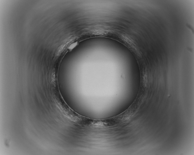 X0000100970407200807081224