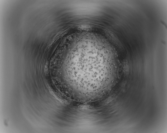 X0000100970408200807081224