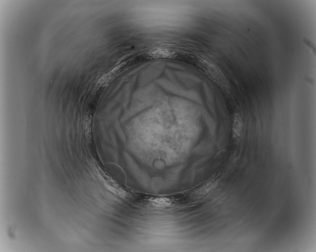 X0000100970409200807081224