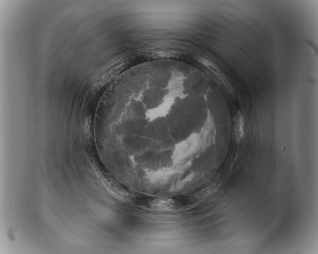 X0000100970410200807081224
