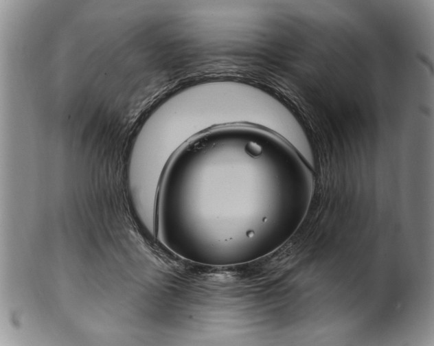 X0000100970411200807081224
