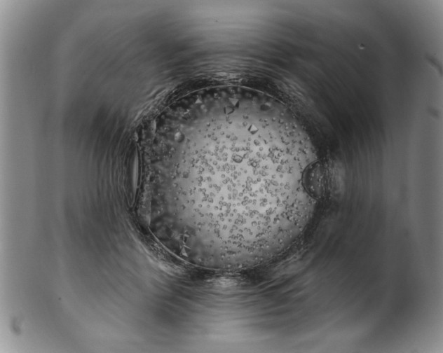 X0000100970412200807081224