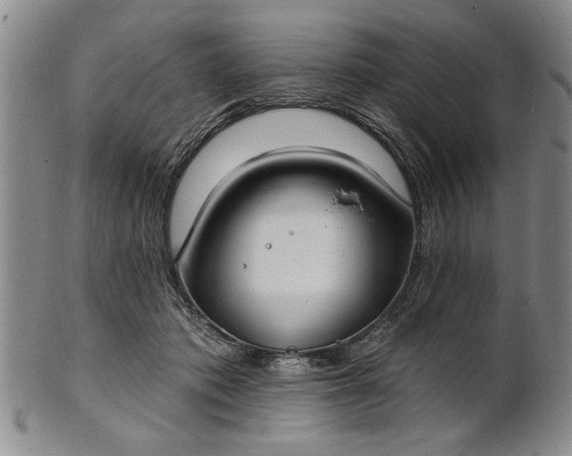 X0000100970413200807081224