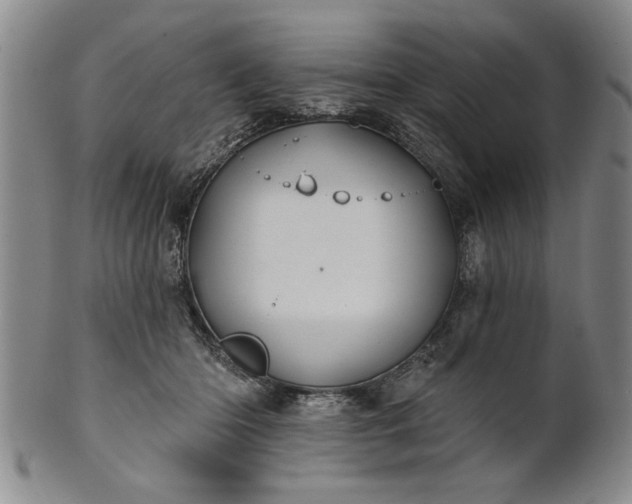 X0000100970414200807081224