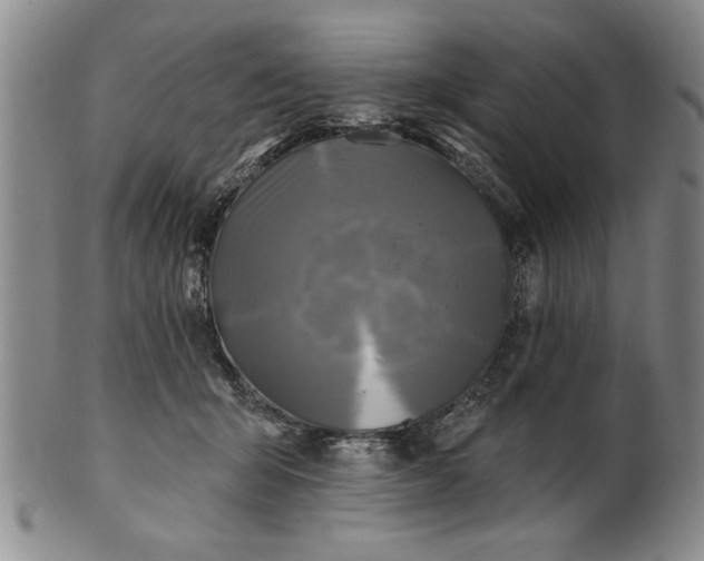 X0000100970415200807081224