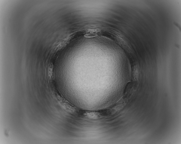 X0000100970417200807081224