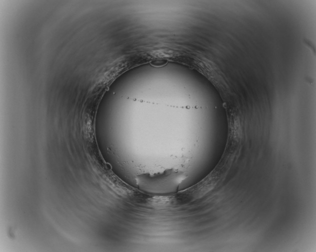X0000100970418200807081224