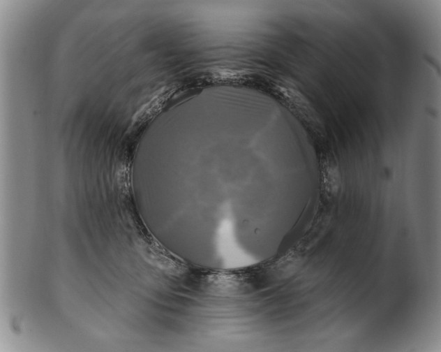 X0000100970419200807081224