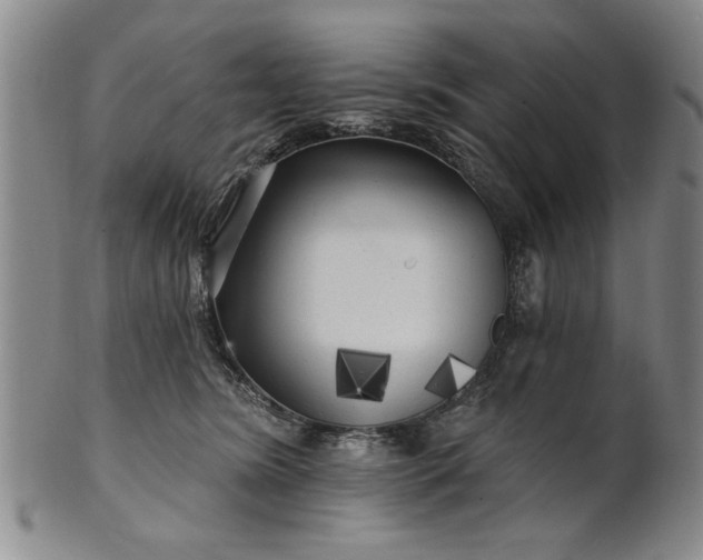 X0000100970420200807081224