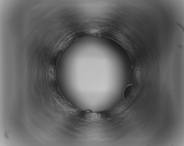X0000100970421200807081224