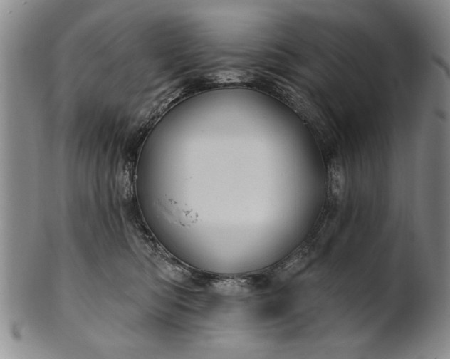 X0000100970422200807081224