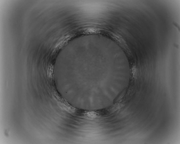 X0000100970423200807081224