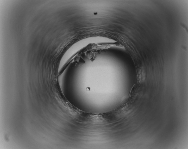 X0000100970424200807081224
