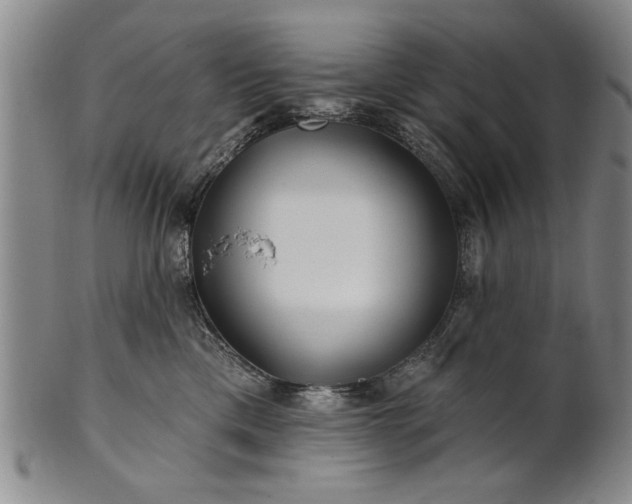 X0000100970425200807081224