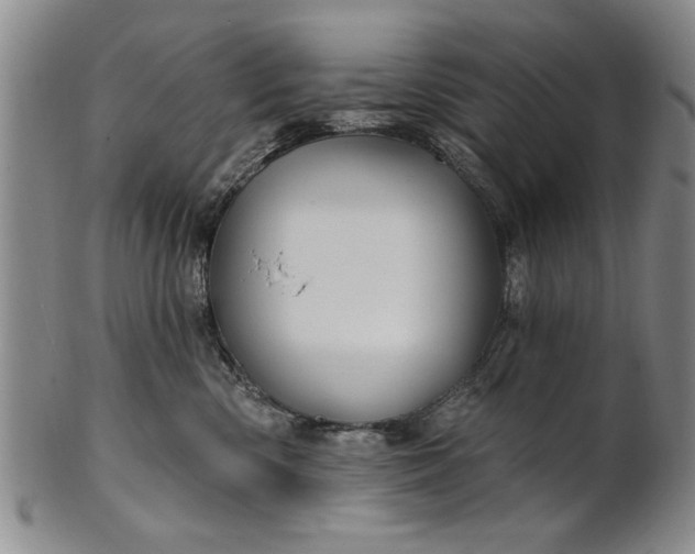 X0000100970426200807081224