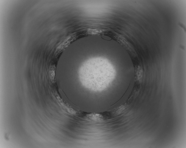 X0000100970427200807081224