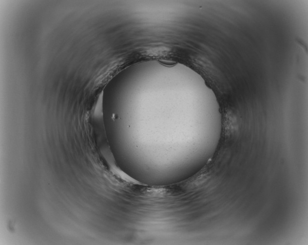 X0000100970428200807081224