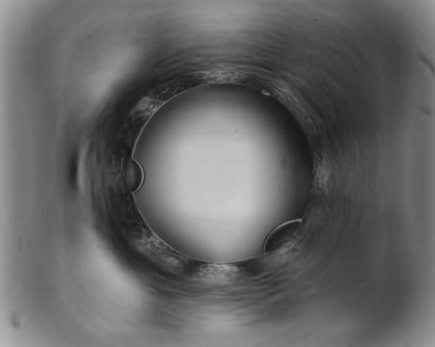 X0000100970429200807081224