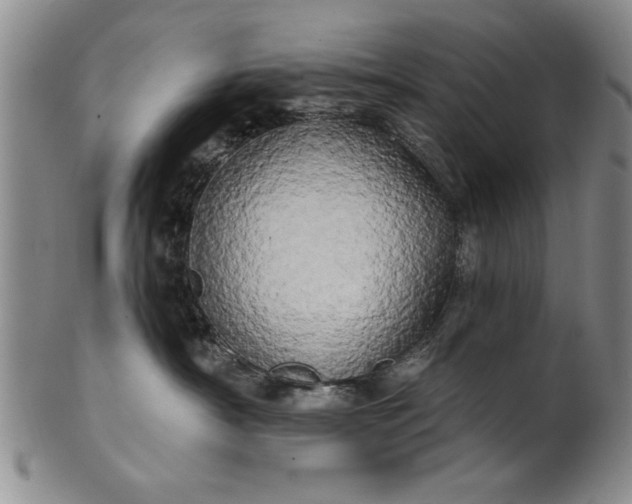X0000100970430200807081224