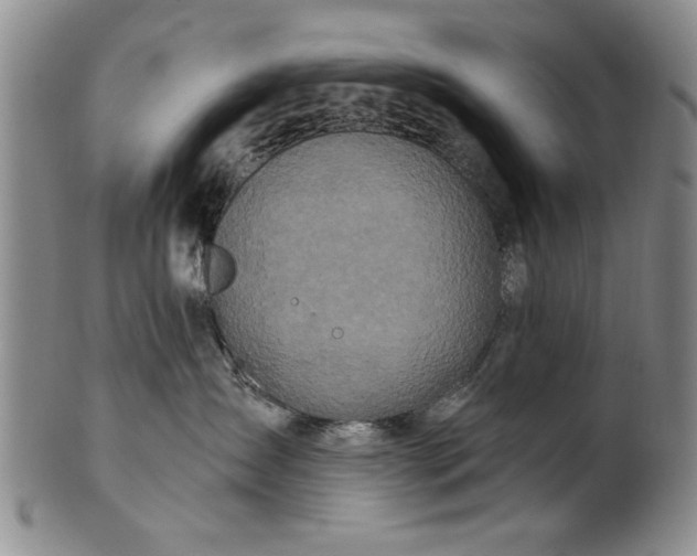 X0000100970431200807081224