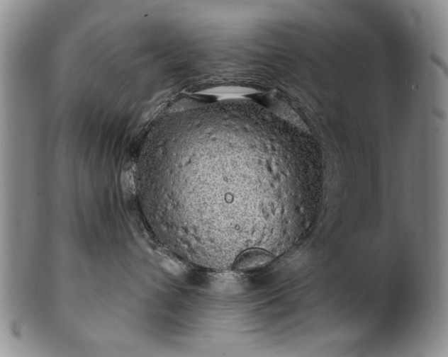 X0000100970432200807081224