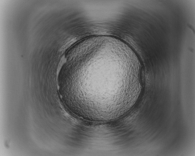 X0000100970433200807081223