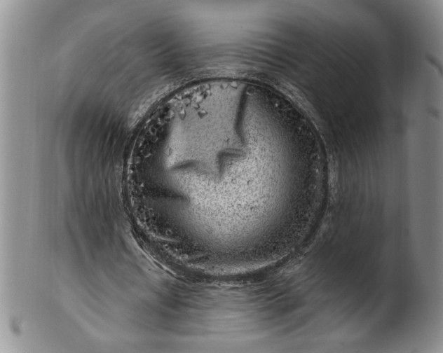 X0000100970434200807081223